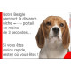 Plaque humour 24 cm, Distance Niche - Portail moins de 3 secondes, Beagle Tête, pancarte drôle marrant plaque