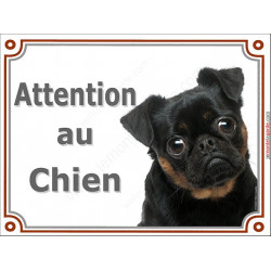 Petit Brabançon noir et feu, plaque portail "Attention au Chien" pancarte entrée, panneau photo race