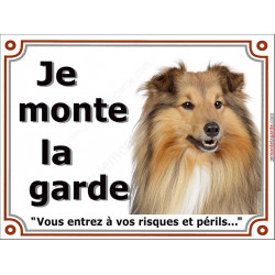 Colley Fauve tête, plaque portail "Je Monte la Garde, risques et périls" pancarte panneau photo attention au chien