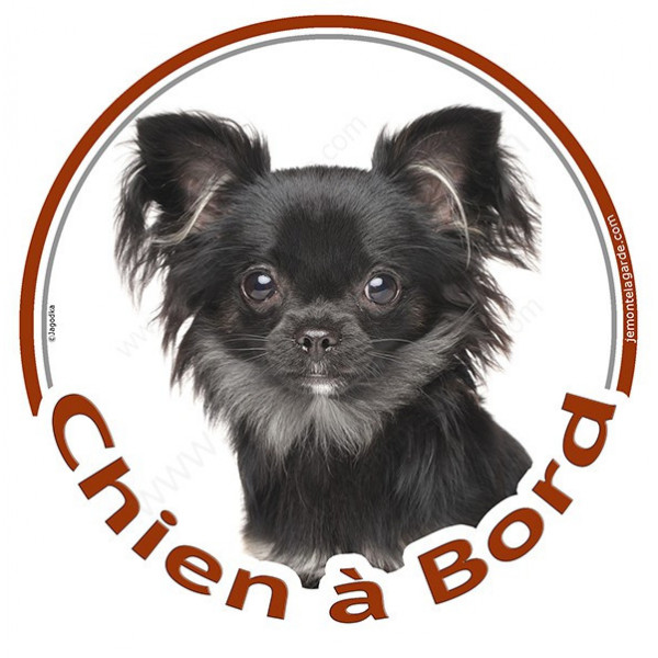 Chihuahua noir à poils longs Tête, sticker autocollant rond "Chien à Bord" Disque photo adhésif vitre voiture