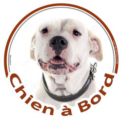 Dogue Argentin, sticker autocollant rond "Chien à Bord" Disque photo adhésif vitre voiture chien