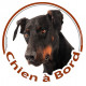 Dobermann Tête, sticker autocollant rond "Chien à Bord" Disque adhésif vitre voiture chien photo