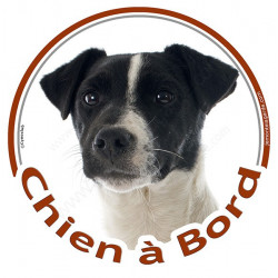 Sticker autocollant rond "Chien à Bord" 15 cm, Jack Russell Terrier blanc et noir Tête, adhésif vitre voiture