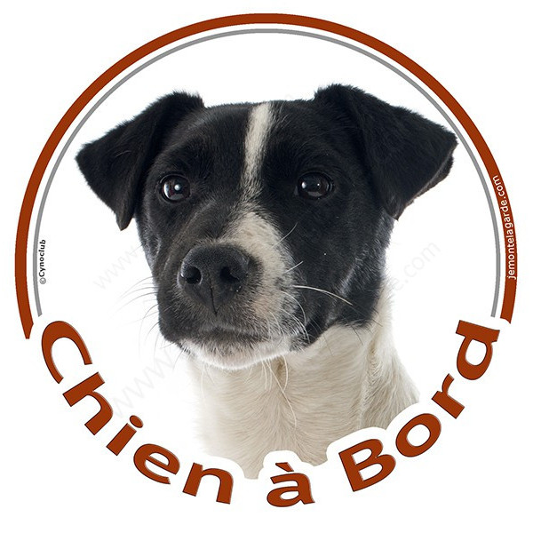 Sticker autocollant rond "Chien à Bord" 15 cm, Jack Russell Terrier blanc et noir Tête, adhésif vitre voiture