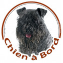 Terrier Kerry Blue, sticker rond "Chien à Bord" 15 cm voiture - 3 ans