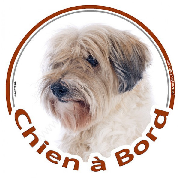 Sticker autrocollant rond "Chien à Bord" 15 cm, Terrier du Tibet blanc et fauve poils courts Tête, adhésif vitre voiture