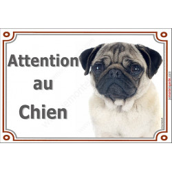 Carlin Tête, plaque portail "Attention au Chien" pancarte entrée, panneau photo race