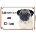 Carlin fauve, plaque "Attention au Chien" 3 tailles LUX C