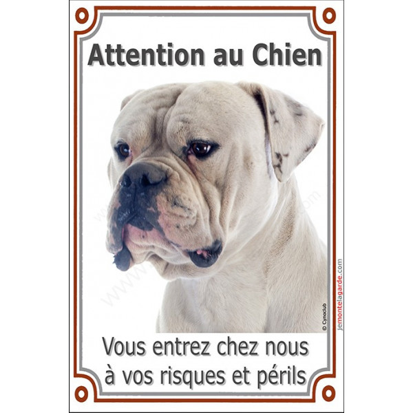 Bouledogue Américain blanc tête, plaque portail verticale "Attention au Chien, risques et périls" pancarte panneau photo