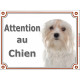 Bichon Maltais tête, plaque portail "Attention au Chien" pancarte photo panneau affiche