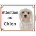 Bichon Maltais, plaque portail "Attention au Chien" 2 tailles luxe D