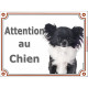 Chihuahua noir et blanc à poils longs, plaque portail "Attention au Chien" pancarte entrée, panneau photo race