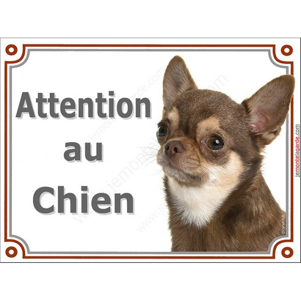 Plaque portail 2 tailles LUXE Attention au Chien, Chihuahua marron chocolat à poils courts Tête pancarte brun dilué panneau