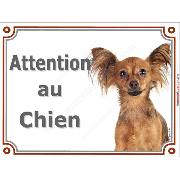 Plaque portail 2 tailles LUXE Attention au Chien, Russkiy Toy fauve marron Tête, pancarte panneau petit chien russe