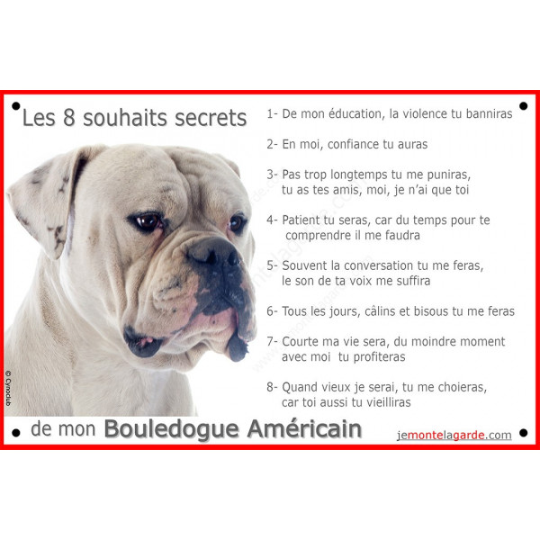 Plaque portail 8 Souhaits Secrets, Bouledogue Américain blanc tête pancarte panneau idée cadeau réglement