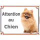 Spitz Fauve Assis, plaque Portail "Attention au Chien" panneau affiche photo Loulou Poméranie nain roux orange