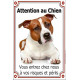 Amstaff fauve, plaque portail verticale "Attention au chien, risques et périls" pancarte photo affiche panneau staff american