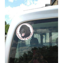 Terre Neuve noir, sticker voiture rond "Chien à Bord" 2 tailles