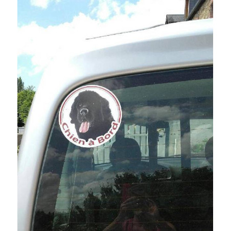 Terre Neuve noir, sticker voiture rond "Chien à Bord" 2 tailles