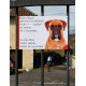 Boxer Fauve tête, Plaque Portail humoristique, pancarte affiche panneau drôle attention chien parcourt distance niche portail 3 