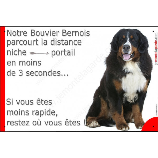 Bouvier Bernois, pancarte portail humour "Attention au chien, niche-portail 3 secondes restez" panneau drôle plaque photo