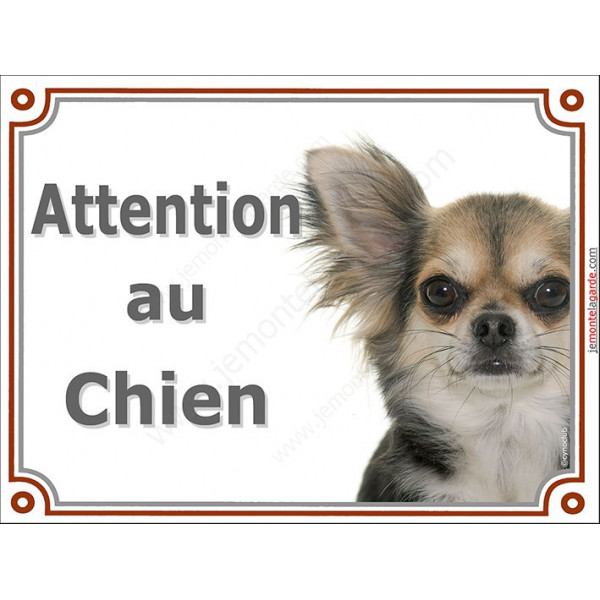 Chihuahua tricolore poils longs, plaque portail "Attention au Chien" pancarte panneau photo affiche