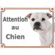Staffie tout blan, plaque portail "Attention au Chien" pancarte entrée, panneau photo race, Staffordshire Bull Terrier