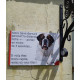Saint-Bernard couché, Plaque Portail St-Bernard "distance niche-portail 3 secondes" pancarte, affiche panneau attention au chien