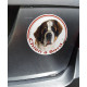 Saint-Bernard, sticker autocollant rond "Chien à Bord" Disque adhésif vitre voiture photo St-Bernard