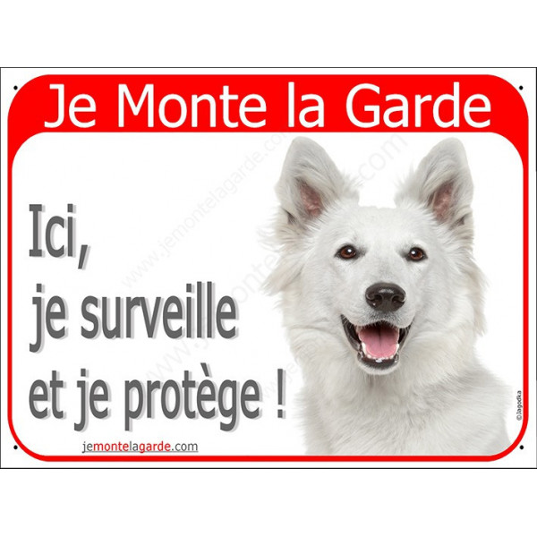 Berger Blanc Suisse Tête, Plaque Rouge Je Monte la Garde, surveille protège, affiche panneau attention au chien
