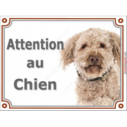 Lagotto Romagnolo Tête, plaque "Attention au Chien" pancarte panneau photo chien d'eau Romagole
