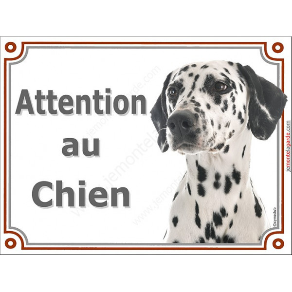 Dalmatien Tête, plaque portail "Attention au Chien" pancarte panneau photo race