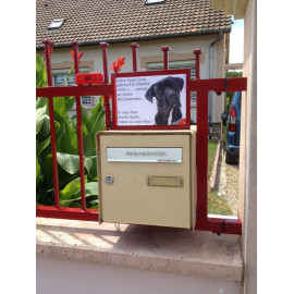 Cane Corso noir, plaque humour "distance Niche - Portail 3 secondes"  24 cm