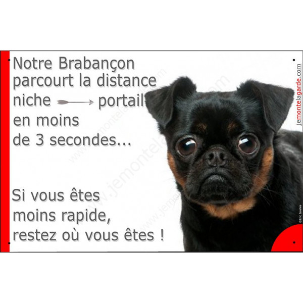 Plaque humour Attention chien Brabençon parcourt distance niche portail moins de 3 secondes, si vous êtes moins rapide