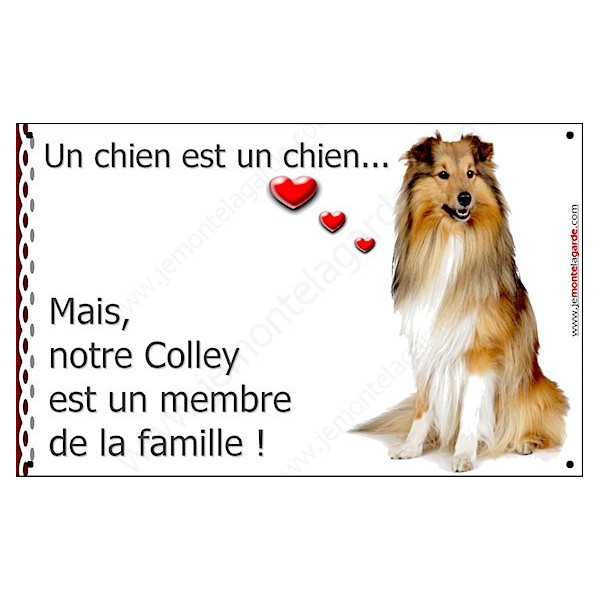 Colley Fauve Assis, Plaque Portail un chien est un chien, membre de la famille, pancarte, affiche panneau