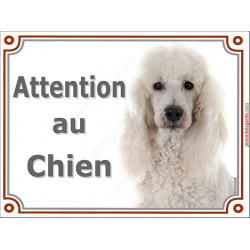 Caniche blanc, plaque portail "Attention au Chien" pancarte entrée, panneau photo race