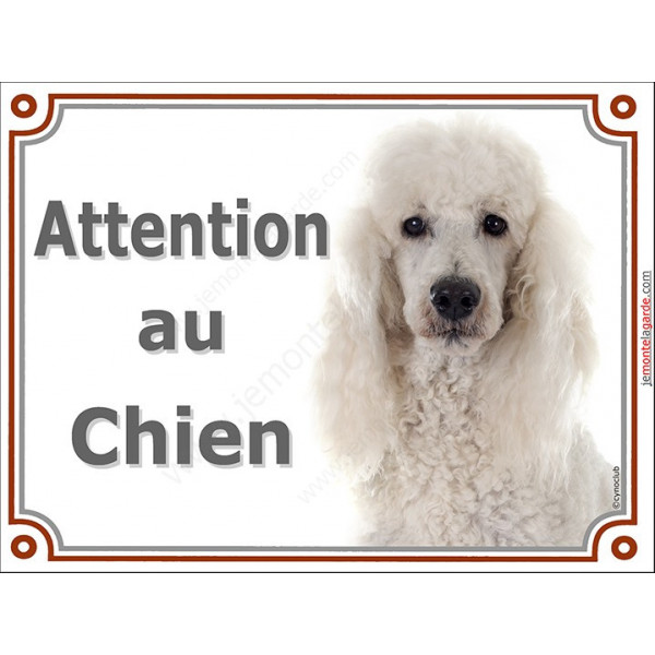 Caniche blanc, plaque portail "Attention au Chien" pancarte entrée, panneau photo race