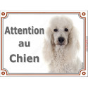 Caniche blanc, plaque portail "Attention au Chien" 2 tailles LUX D