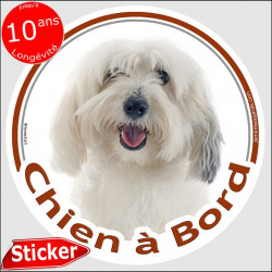 Coton de Tuléar Tête, sticker autocollant rond "Chien à Bord" Disque adhésif vitre voiture photo