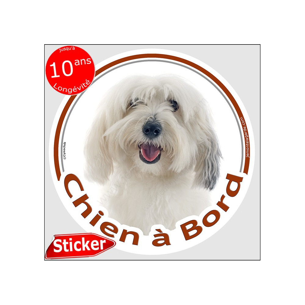Coton De Tulear Sticker Autocollant Rond Chien A Bord 15 Cm