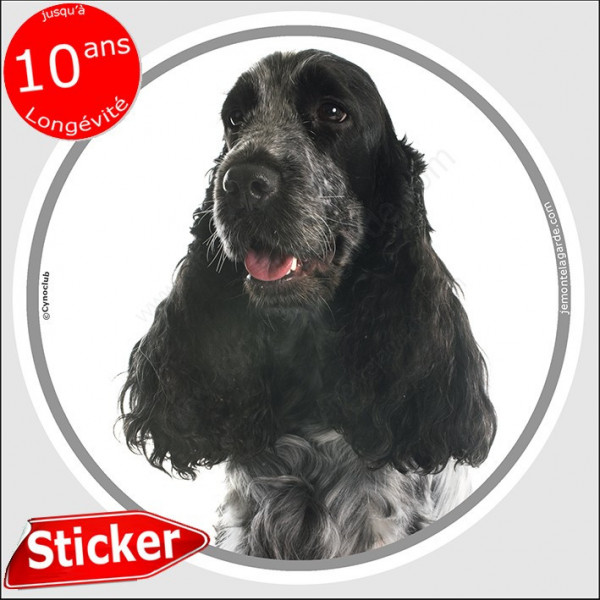 Cocker Anglais Spaniel bleu, sticker autocollant rond "photo" Disque photo intérieur ou Extérieur, adhésif voiture vitre