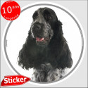 Cocker Anglais bleu, sticker autocollant rond "photo" 15 cm intérieur/Extérieur