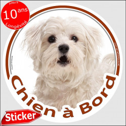 Bichon Maltais blanc, sticker autocollant rond "Chien à Bord" Disque photo adhésif voiture vitre