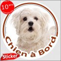 Bichon Maltais, disque autocollant voiture "Chien à Bord" 15 cm