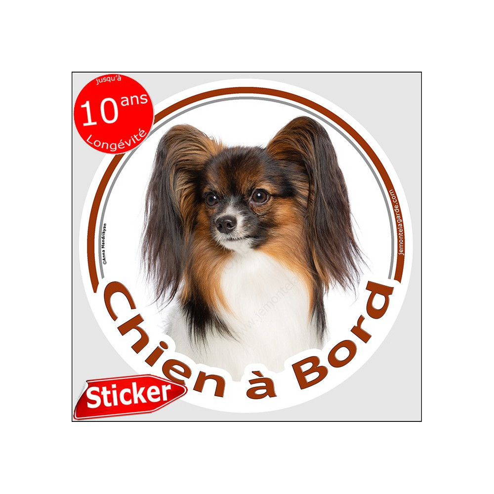 Stickers et Autocollants Voiture - Sticker Papillon