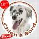 Setter Anglais noir et blanc, sticker autocollant rond "Chien à Bord" Disque photo adhésif voiture vitre