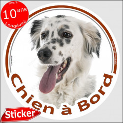 Setter Anglais, sticker voiture "Chien à Bord" 15 cm