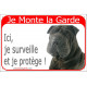 Shar-Peï noir, plaque portail rouge "Je Monte la Garde, surveille protège" pancarte panneau attention au chien photo sharpei