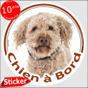 Lagotto Romagnolo, sticker "Chien à Bord" 15 cm