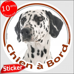 Dalmatien, sticker voiture "Chien à Bord" 15 cm